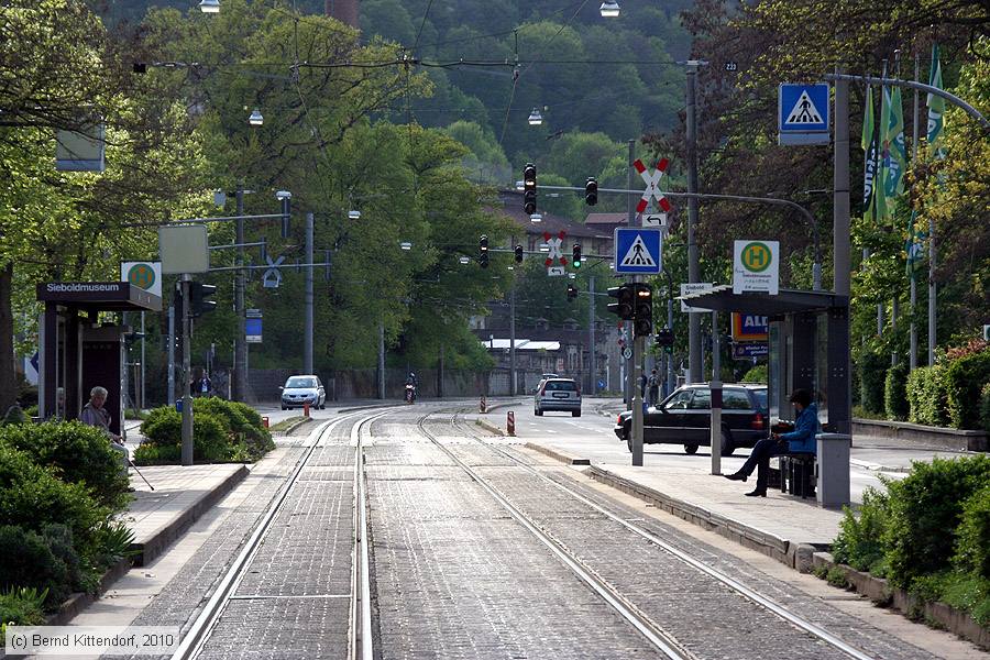 Straßenbahn Würzburg - Anlagen
/ Bild: wuerzburganlagen_bk1004270447.jpg