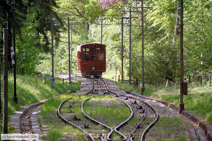 Bergbahn Heidelberg - 3
/ Bild: heidelbergfuni3_bk0904260128.jpg