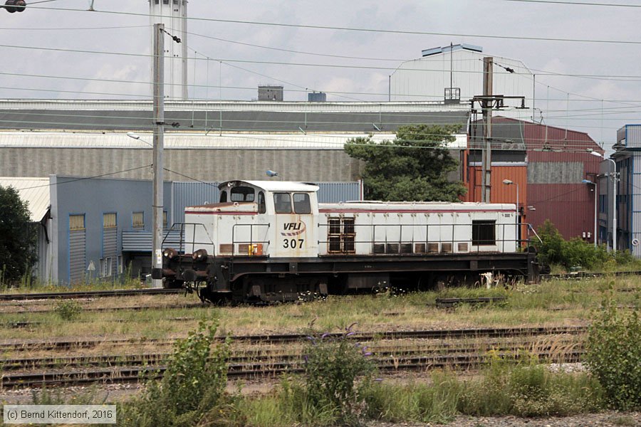 VFLI - 307 
/ Bild: vflibb307_bk1607280062.jpg