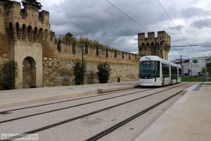 Bild: avignon104_bk1911040224.jpg - anklicken zum Vergrößern