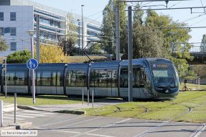 Bild: bordeaux1311_bk1610210128.jpg - anklicken zum Vergrößern