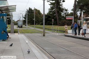 Bild: bordeaux2228_bk1610240168.jpg - anklicken zum Vergrößern