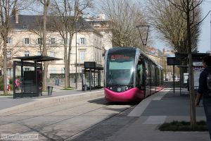 Bild: dijon1017_bk1404010264.jpg - anklicken zum Vergrößern