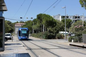 Bild: montpellier2008_bk1608070073.jpg - anklicken zum Vergrößern