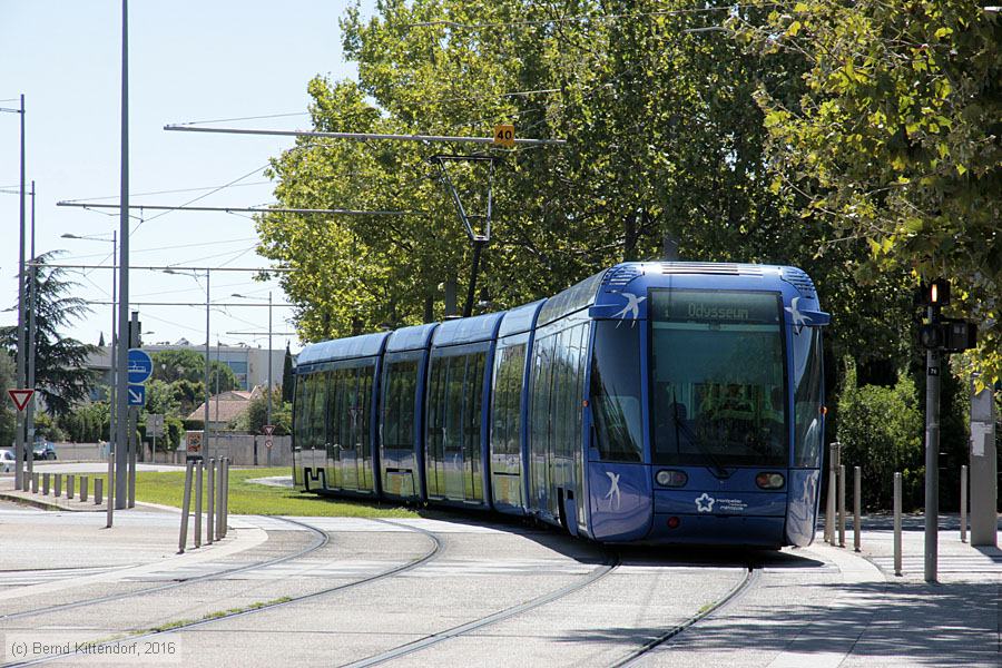 Straßenbahn Montpellier - 2009
/ Bild: montpellier2009_bk1608070031.jpg Straßenbahn Montpellier - 2009
/ Bild: montpellier2009_bk1608070031.jpg
