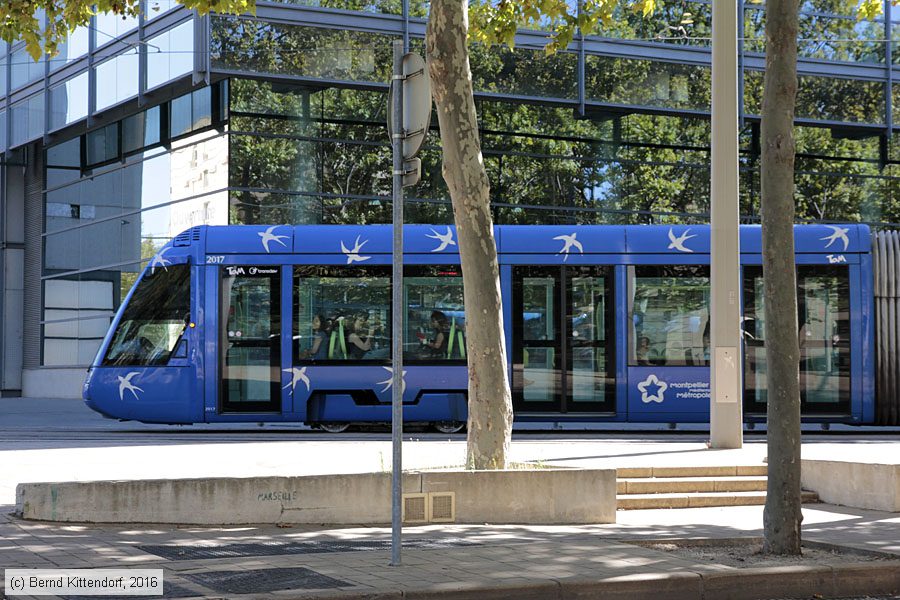 Straßenbahn Montpellier - 2017
/ Bild: montpellier2017_bk1608060089.jpg Straßenbahn Montpellier - 2017
/ Bild: montpellier2017_bk1608060089.jpg
