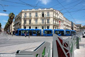 Bild: montpellier2024_bk1406250175.jpg - anklicken zum Vergrößern