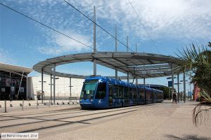 Bild: montpellier2025_bk1406270201.jpg - anklicken zum Vergrößern Bild: montpellier2025_bk1406270201.jpg - anklicken zum Vergrößern