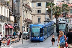 Bild: montpellier2026_bk1406250164.jpg - anklicken zum Vergrößern Bild: montpellier2026_bk1406250164.jpg - anklicken zum Vergrößern