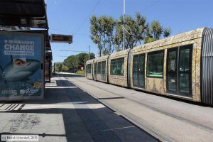 Bild: montpellier2033_bk1608050047.jpg - anklicken zum Vergrößern