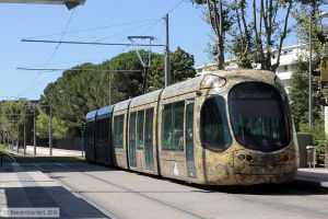 Bild: montpellier2033_bk1608050048.jpg - anklicken zum Vergrößern