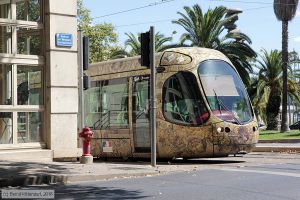 Bild: montpellier2033_bk1608050091.jpg - anklicken zum Vergrößern