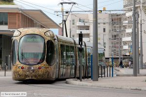 Bild: montpellier2041_bk1406250107.jpg - anklicken zum Vergrößern