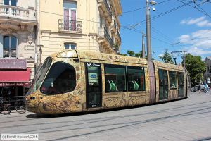 Bild: montpellier2041_bk1406260132.jpg - anklicken zum Vergrößern