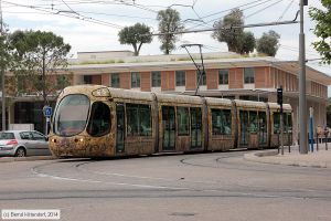 Bild: montpellier2044_bk1406250119.jpg - anklicken zum Vergrößern