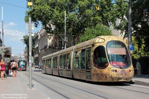 Bild: montpellier2044_bk1406260066.jpg - anklicken zum Vergrößern