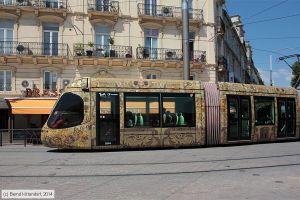 Bild: montpellier2044_bk1406260102.jpg - anklicken zum Vergrößern