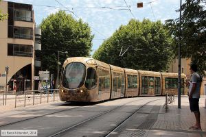 Bild: montpellier2044_bk1406270185.jpg - anklicken zum Vergrößern