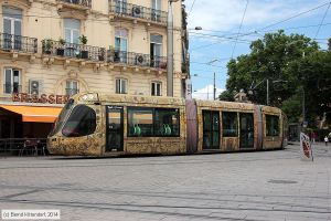 Bild: montpellier2045_bk1406250150.jpg - anklicken zum Vergrößern