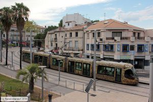 Bild: montpellier2046_bk1406250366.jpg - anklicken zum Vergrößern