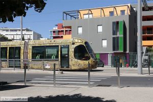 Bild: montpellier2047_bk1608050018.jpg - anklicken zum Vergrößern