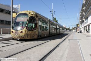 Bild: montpellier2047_bk1608060106.jpg - anklicken zum Vergrößern