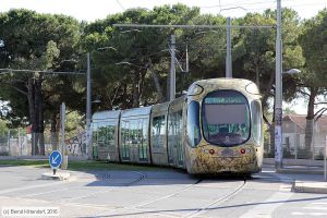 Bild: montpellier2047_bk1608060111.jpg - anklicken zum Vergrößern