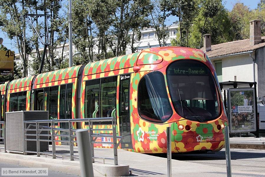 Straßenbahn Montpellier - 2050
/ Bild: montpellier2050_bk1608050037.jpg