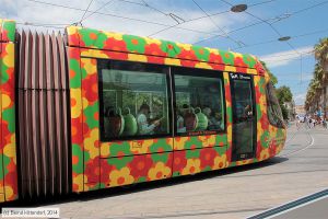 Bild: montpellier2051_bk1406250180.jpg - anklicken zum Vergrößern