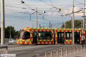 Bild: montpellier2052_bk1406260423.jpg - anklicken zum Vergrößern