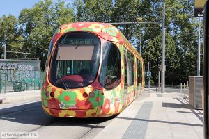 Bild: montpellier2052_bk1608050002.jpg - anklicken zum Vergrößern
