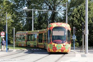 Bild: montpellier2052_bk1608050004.jpg - anklicken zum Vergrößern