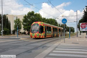 Bild: montpellier2055_bk1406250266.jpg - anklicken zum Vergrößern