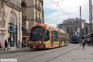 Bild: montpellier2057_bk1406250385.jpg - anklicken zum Vergrößern