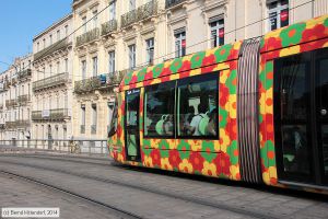 Bild: montpellier2057_bk1406250387.jpg - anklicken zum Vergrößern