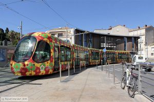 Bild: montpellier2060_bk1608050052.jpg - anklicken zum Vergrößern