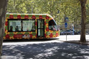 Bild: montpellier2060_bk1608050098.jpg - anklicken zum Vergrößern