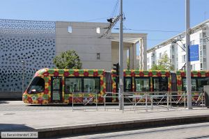 Bild: montpellier2060_bk1608060084.jpg - anklicken zum Vergrößern