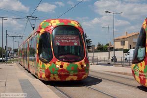 Bild: montpellier2061_bk1406260143.jpg - anklicken zum Vergrößern