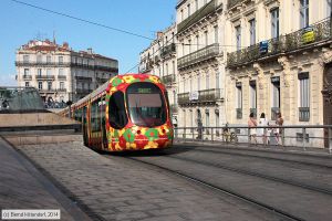 Bild: montpellier2064_bk1406250390.jpg - anklicken zum Vergrößern