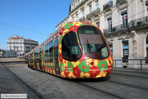 Bild: montpellier2064_bk1406250391.jpg - anklicken zum Vergrößern
