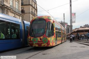 Bild: montpellier2064_bk1406250393.jpg - anklicken zum Vergrößern