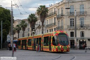 Bild: montpellier2064_bk1406250530.jpg - anklicken zum Vergrößern