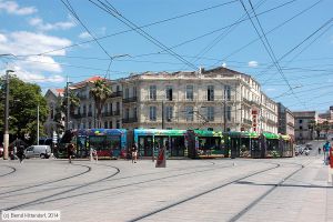 Bild: montpellier2071_bk1406260130.jpg - anklicken zum Vergrößern