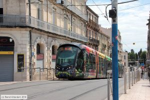 Bild: montpellier2074_bk1406250223.jpg - anklicken zum Vergrößern