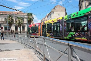 Bild: montpellier2074_bk1406250226.jpg - anklicken zum Vergrößern