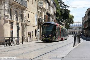 Bild: montpellier2076_bk1608060036.jpg - anklicken zum Vergrößern