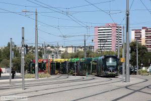Bild: montpellier2076_bk1608070054.jpg - anklicken zum Vergrößern