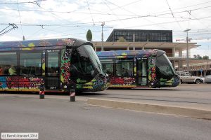 Bild: montpellier2077_bk1406250125.jpg - anklicken zum Vergrößern