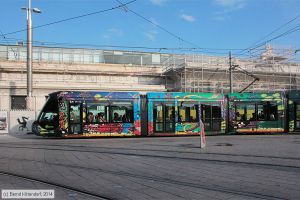 Bild: montpellier2083_bk1406250503.jpg - anklicken zum Vergrößern